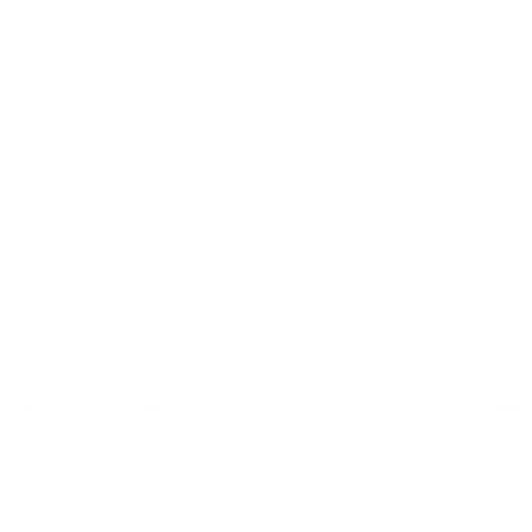 Prime Basketball Basketball Teams, Basketball Camps and Training